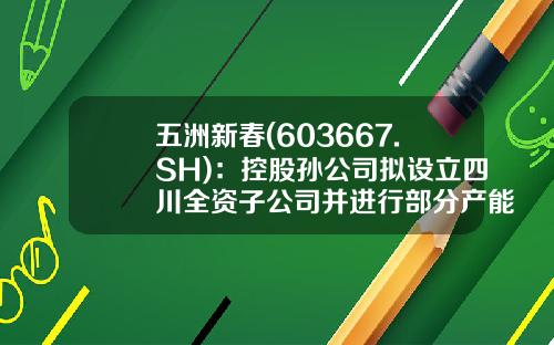 五洲新春(603667.SH)：控股孙公司拟设立四川全资子公司并进行部分产能搬迁-孙公司是否为子公司