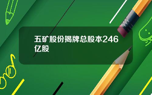 五矿股份揭牌总股本246亿股