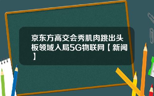 京东方高交会秀肌肉跳出头板领域入局5G物联网【新闻】