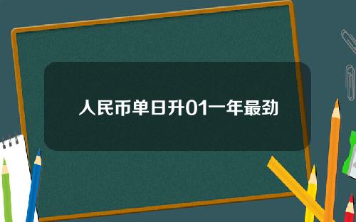 人民币单日升01一年最劲