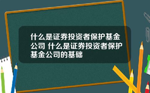 什么是证券投资者保护基金公司 什么是证券投资者保护基金公司的基础