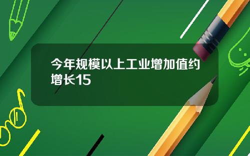 今年规模以上工业增加值约增长15