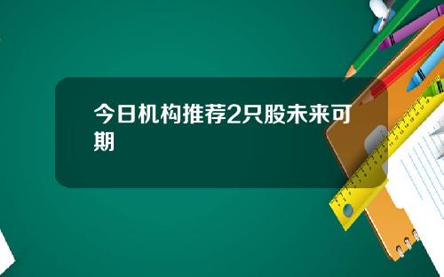 今日机构推荐2只股未来可期