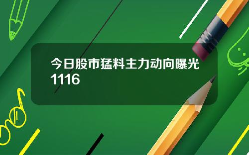 今日股市猛料主力动向曝光1116