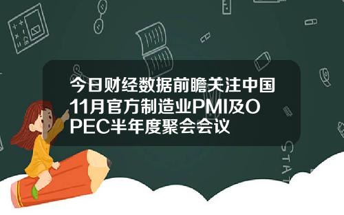 今日财经数据前瞻关注中国11月官方制造业PMI及OPEC半年度聚会会议