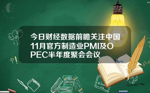 今日财经数据前瞻关注中国11月官方制造业PMI及OPEC半年度聚会会议