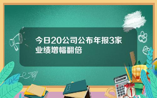 今日20公司公布年报3家业绩增幅翻倍
