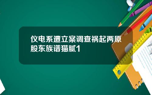 仪电系遭立案调查祸起两原股东族谱猫腻1