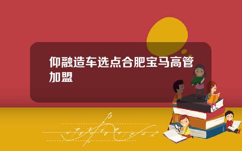仰融造车选点合肥宝马高管加盟