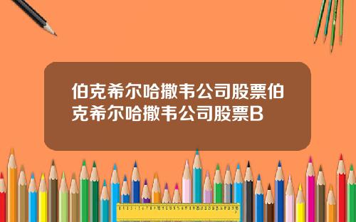 伯克希尔哈撒韦公司股票伯克希尔哈撒韦公司股票B
