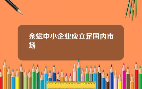 余斌中小企业应立足国内市场