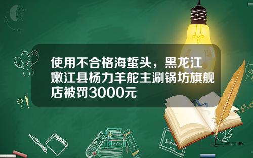 使用不合格海蜇头，黑龙江嫩江县杨力羊舵主涮锅坊旗舰店被罚3000元