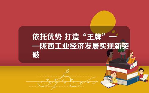 依托优势 打造“王牌”——陇西工业经济发展实现新突破