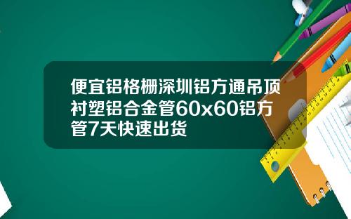 便宜铝格栅深圳铝方通吊顶衬塑铝合金管60x60铝方管7天快速出货
