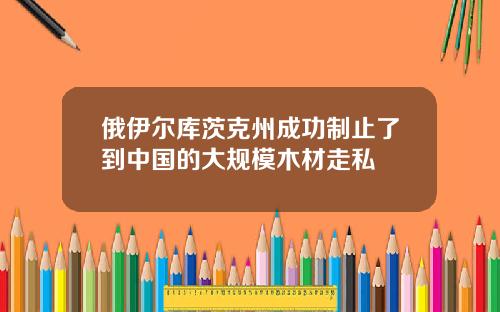 俄伊尔库茨克州成功制止了到中国的大规模木材走私