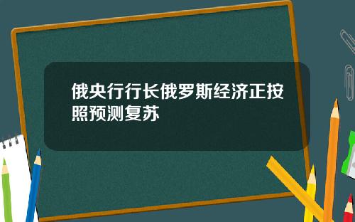 俄央行行长俄罗斯经济正按照预测复苏