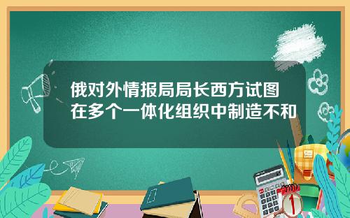 俄对外情报局局长西方试图在多个一体化组织中制造不和