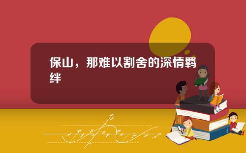 保山，那难以割舍的深情羁绊