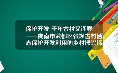 保护开发 千年古村又逢春——陇南市武都区张坝古村活态保护开发利用的乡村振兴探索