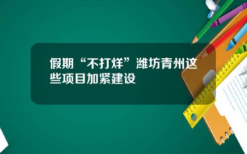 假期“不打烊”潍坊青州这些项目加紧建设