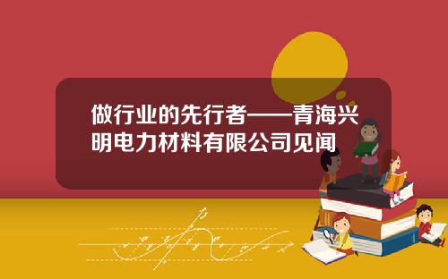 做行业的先行者——青海兴明电力材料有限公司见闻
