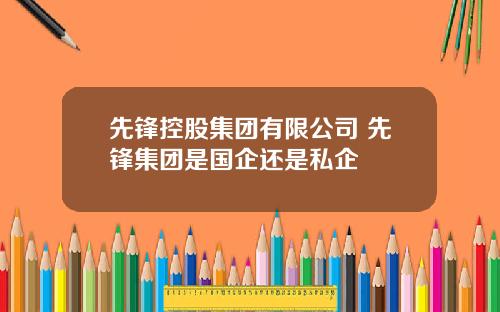 先锋控股集团有限公司 先锋集团是国企还是私企