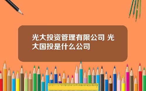 光大投资管理有限公司 光大国投是什么公司