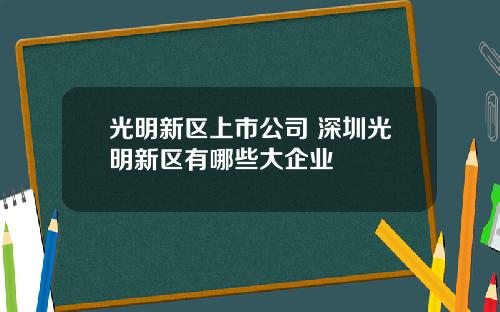 光明新区上市公司 深圳光明新区有哪些大企业