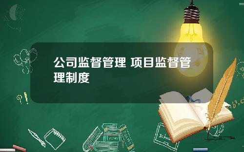 公司监督管理 项目监督管理制度