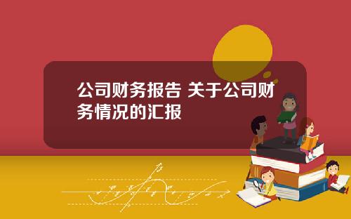 公司财务报告 关于公司财务情况的汇报
