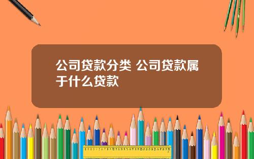 公司贷款分类 公司贷款属于什么贷款