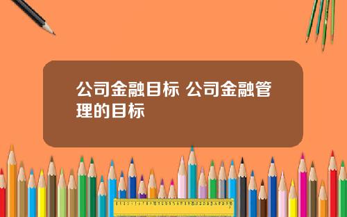 公司金融目标 公司金融管理的目标