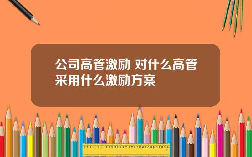 公司高管激励 对什么高管采用什么激励方案