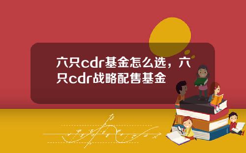 六只cdr基金怎么选，六只cdr战略配售基金
