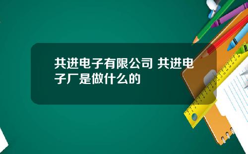 共进电子有限公司 共进电子厂是做什么的