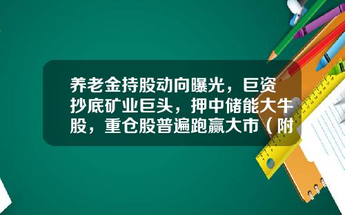 养老金持股动向曝光，巨资抄底矿业巨头，押中储能大牛股，重仓股普遍跑赢大市（附名单）-年底买什么基金
