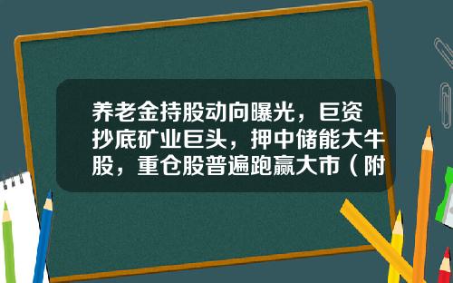 养老金持股动向曝光，巨资抄底矿业巨头，押中储能大牛股，重仓股普遍跑赢大市（附名单）-社保基金有哪些