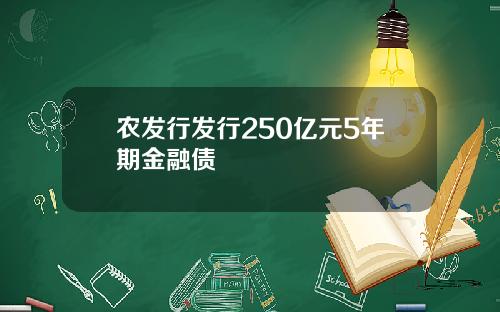 农发行发行250亿元5年期金融债