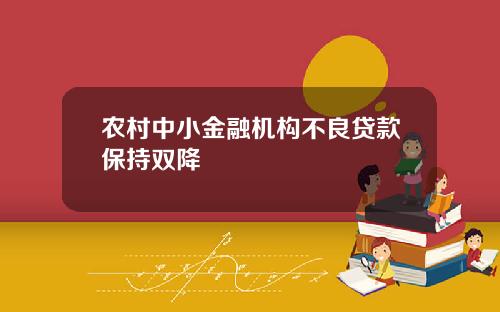 农村中小金融机构不良贷款保持双降