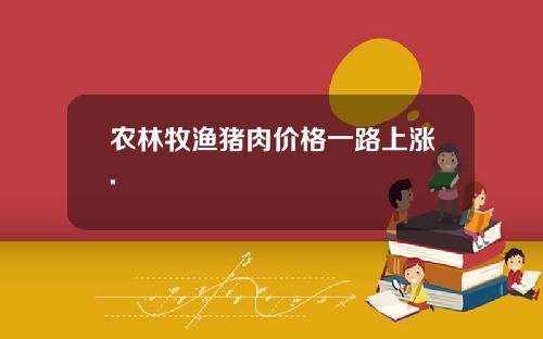 农林牧渔猪肉价格一路上涨.