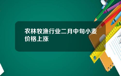 农林牧渔行业二月中旬小麦价格上涨