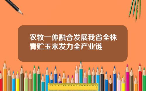 农牧一体融合发展我省全株青贮玉米发力全产业链