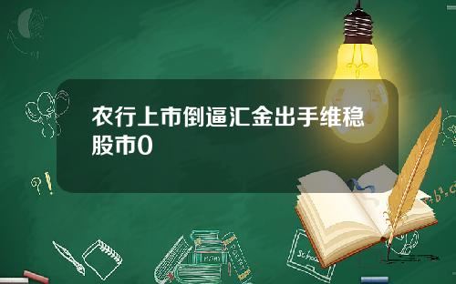 农行上市倒逼汇金出手维稳股市0