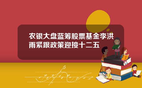 农银大盘蓝筹股票基金李洪雨紧跟政策迎接十二五