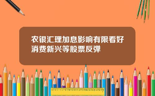 农银汇理加息影响有限看好消费新兴等股票反弹