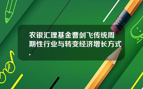 农银汇理基金曹剑飞传统周期性行业与转变经济增长方式.