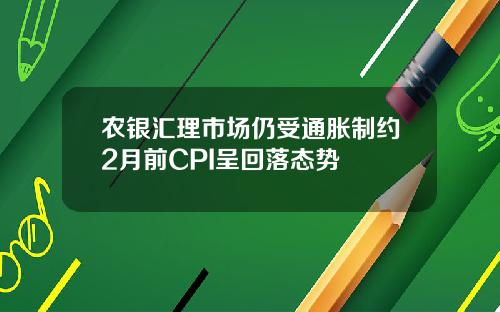 农银汇理市场仍受通胀制约2月前CPI呈回落态势