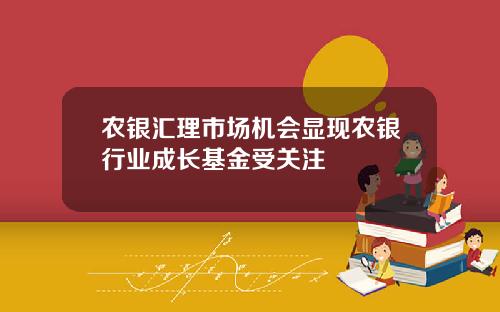 农银汇理市场机会显现农银行业成长基金受关注