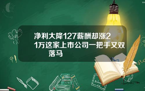 净利大降127薪酬却涨21万这家上市公司一把手又双叒叕落马