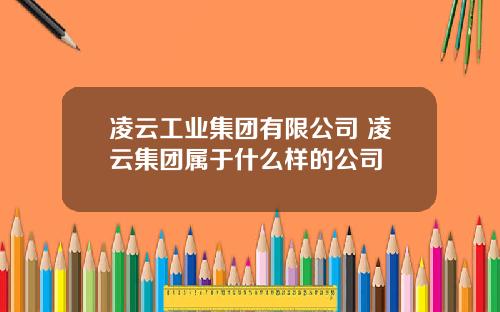 凌云工业集团有限公司 凌云集团属于什么样的公司